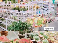 -KKV(常州新北万达广场店)