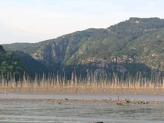 -北岐滩涂