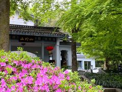 -山外山菜馆(玉泉路店)