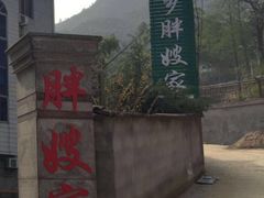-安吉胖嫂家