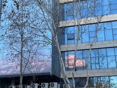 -济南美食街(经十一路店)