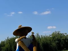 -日照海滨国家森林公园
