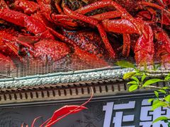 -龙巢盱眙龙虾·牛蛙·烧烤宵夜(八卦岭店)