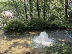 -沕沕水生态风景区