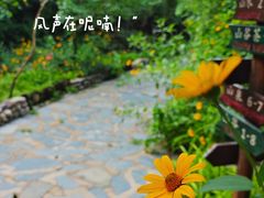 -北京水岸山吧度假村(雁栖镇店)