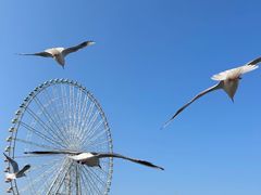 -蠡湖大桥公园