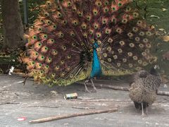 -福建鲤鱼洲酒店