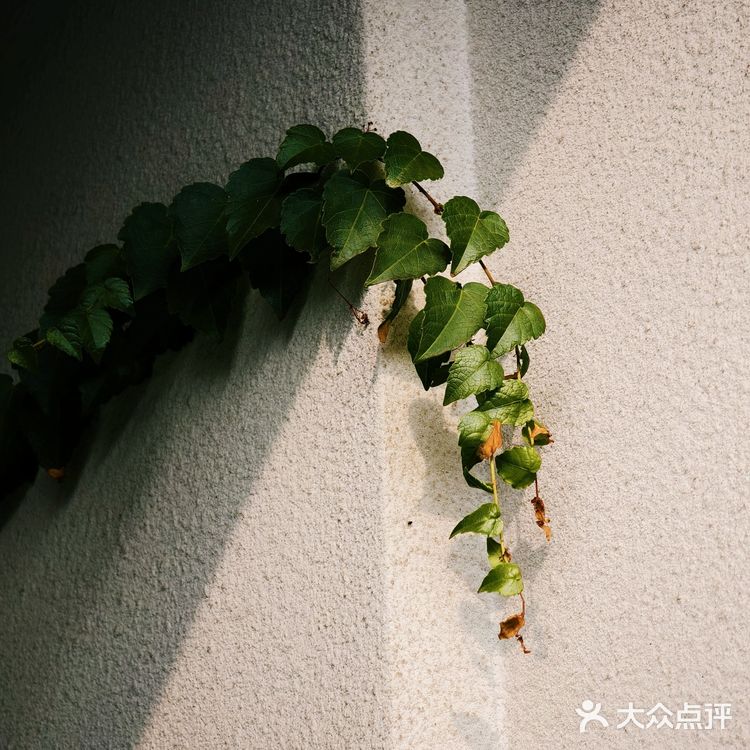 寻找城市的光点