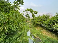-松山湖风景区松湖烟雨
