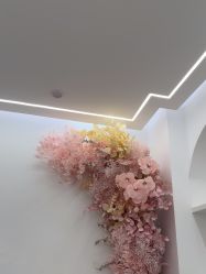 -苗方清颜痘肌研究所