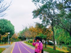 -尚贤河湿地