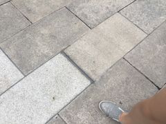 -卫鼎轩·家宴(水上公园店)