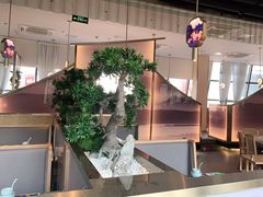 大堂-马家斑.鲜鱼火锅(松湖万科店)