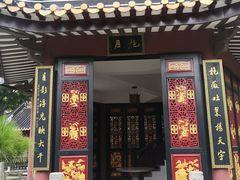 -碧江金楼