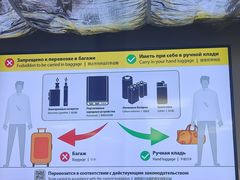 -谢列梅捷沃国际机场