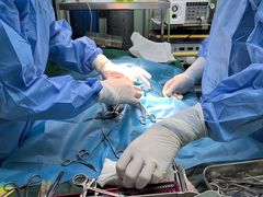 -东莞宠友24H宠物中心医院·转诊夜诊·异宠(新河北路院)