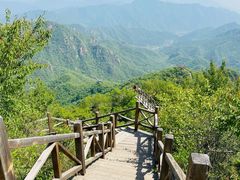 -大岭沟猕猴桃谷风景区