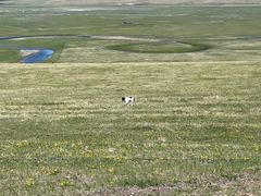 -莫日格勒旅游景区