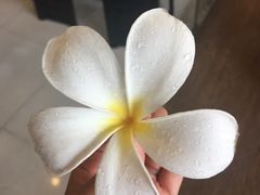 -水都餐厅