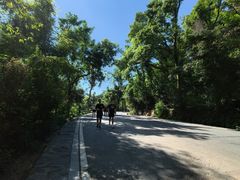 -岳麓山风景名胜区