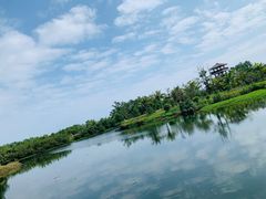 -沙美村