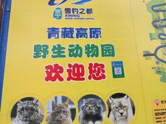 -青藏高原野生动物园
