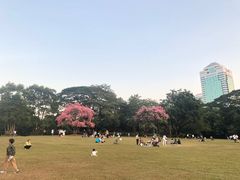 -荔香公园