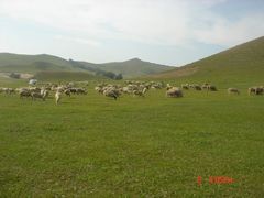 -塞罕坝国家级自然保护区