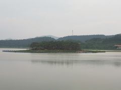 -美的鹭湖森林度假区