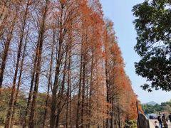 -华南国家植物园-售票处