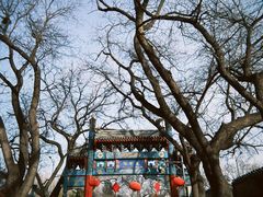 -北京国子监胡同