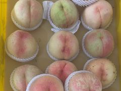 -老袁家蜜桃农场·阳山水蜜桃