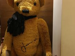 -济州岛泰迪熊博物馆