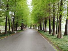 -石湖景区