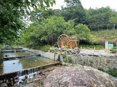 -广州白江湖森林公园