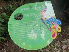 -西双版纳原始森林公园