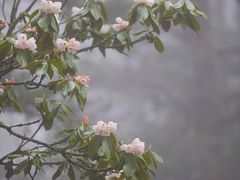 -海螺沟风景区