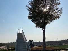 -武汉紫薇都市田园