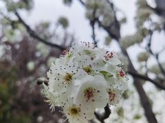 -上海滨江森林公园