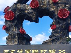 -亚龙湾国际玫瑰谷