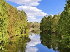 -上海海湾国家森林公园