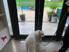 -爱侣宠医·鹦鹉专科·小型哺乳类·异宠专科(灵石路店)