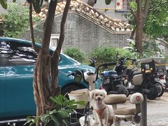 -黄埔古港