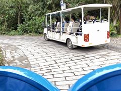 -杨梅坑