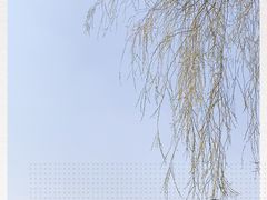 -丁香湖公园