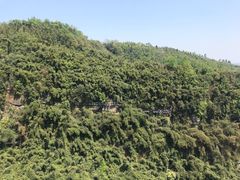-川西竹海景区