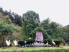 -广州白江湖森林公园