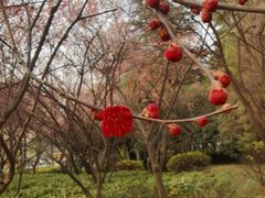 -木塔寺遗址生态公园