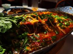 招牌跳水鱼-小河盐帮·私家菜·烤鸭(三元桥·霄云路店)