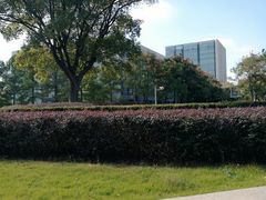 -同济大学(嘉定校区)